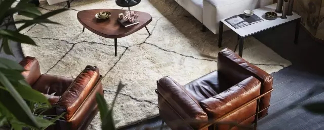 1481698330275861.jpg 2-15.webp.jpg