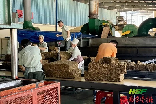 MICHAEL ANASTASSIADES