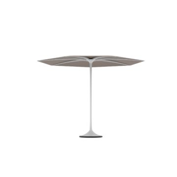 royal botaniaPalma遮陽(yáng)傘