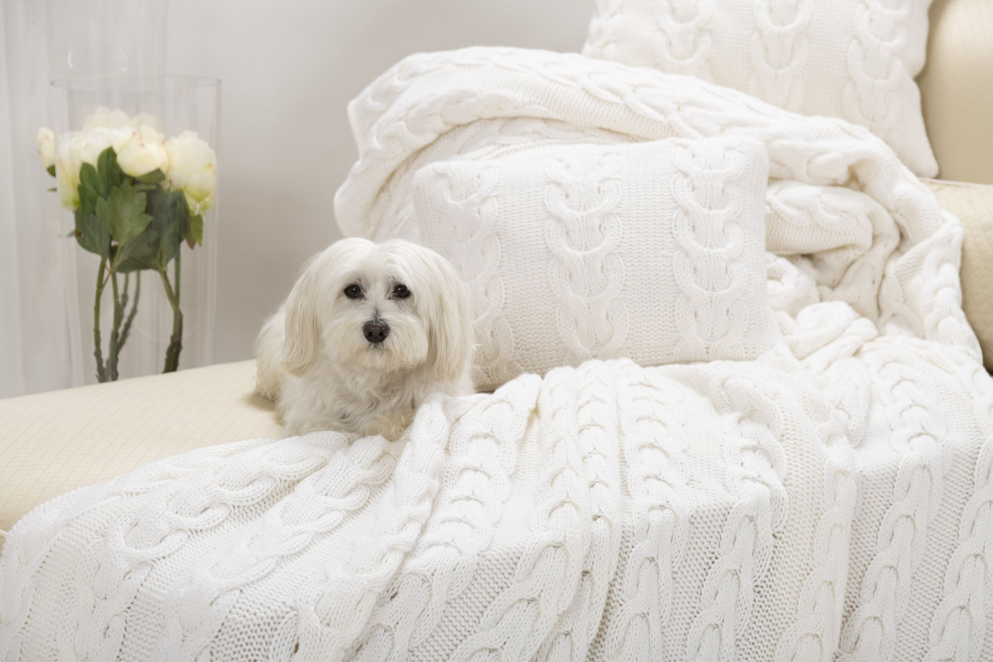 MAISON CLAIREMODELLO TRECCIA浴巾