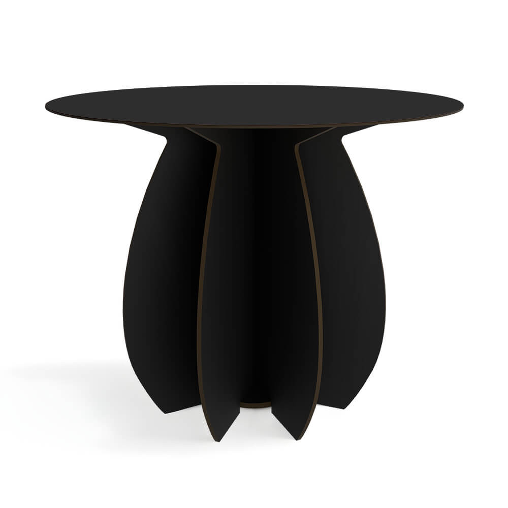 IbrideParodia Magnifica圓餐桌